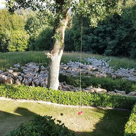 Ferienwohnung "Tecklenburger Augenblicke" Bagian luar foto