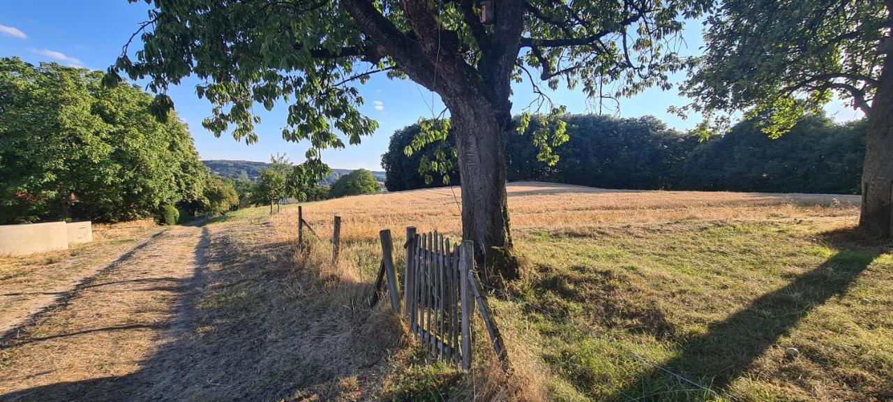Ferienwohnung "Tecklenburger Augenblicke" Bagian luar foto